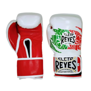 【正規品】レイジェス(Reyes) ボクシンググローブ メキシカン 8〜10oz 本革 ベルクロ スパーリング・トレーニング用