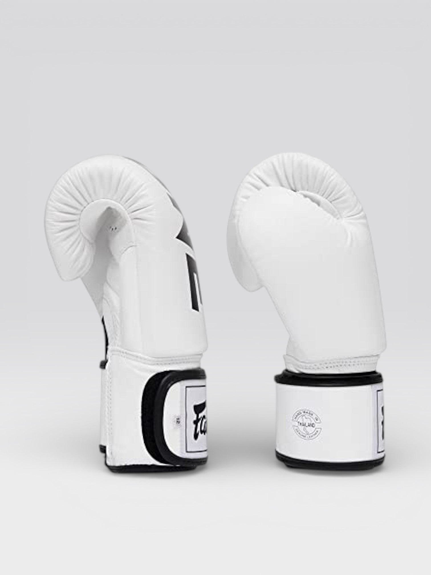 Fairtex ONE Championship ボクシング グローブ BGV1（ホワイト