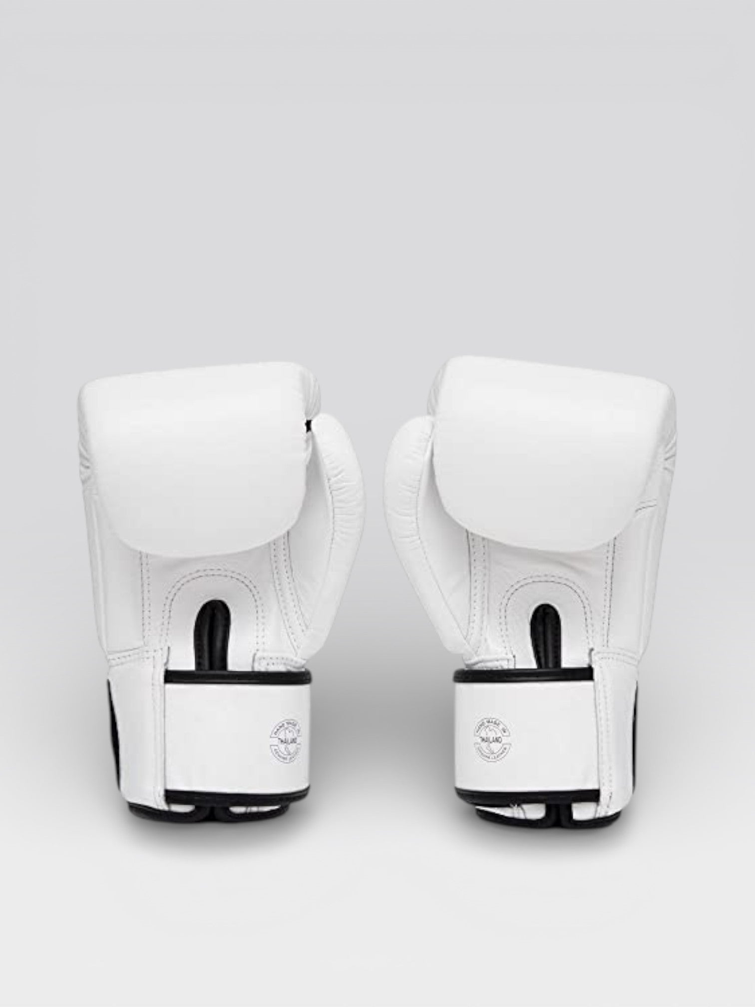 Fairtex ONE Championship ボクシング グローブ BGV1（ホワイト